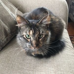 Meet your Posher, Beverly